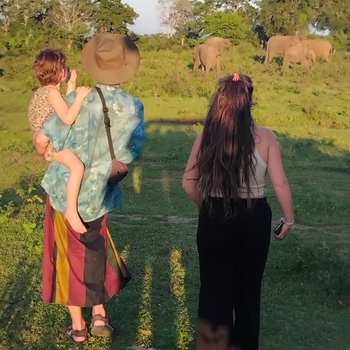 Ethili Lake view & Safari Camp - Hotel exterior or room view