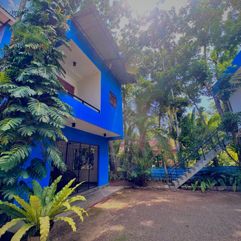 Jungle Fence - Hotel exterior or room view