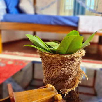 SILVER RAIL - Hotel exterior or room view