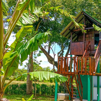 Pride Rock Villa & Tree House - Hotel exterior or room view