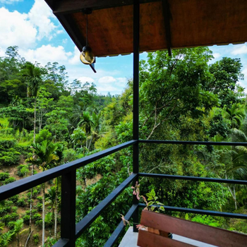 Sunshine Forest Lodge - Sinharaja - Hotel exterior or room view