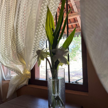 Illukawela Walauwa - Hotel exterior or room view