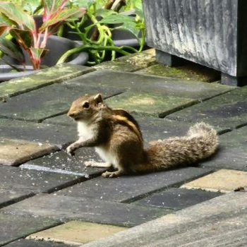 Lake Front - Hotel exterior or room view