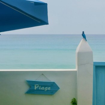 La Maison de Trinco - Hotel exterior or room view