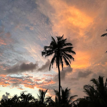 Bliss House - Hotel exterior or room view