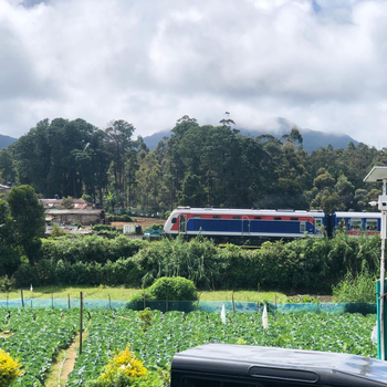 Misty5 - Hotel exterior or room view