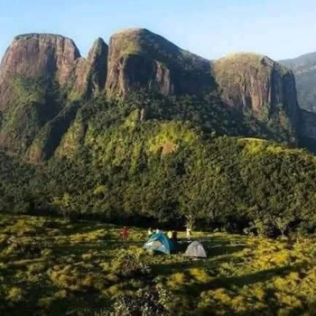 Green Nature Villa - Hotel exterior or room view