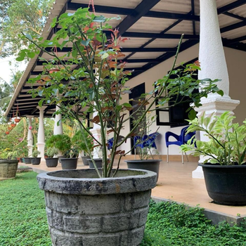 Cinnamon Garten - Hotel exterior or room view