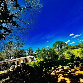 Golden Mount Hotel - Hotel exterior or room view