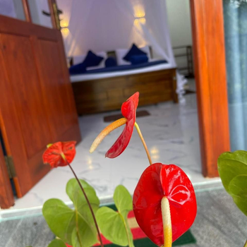 Hobbit at Mountain - Hotel exterior or room view