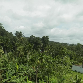 Paddy view guest - Hotel exterior or room view