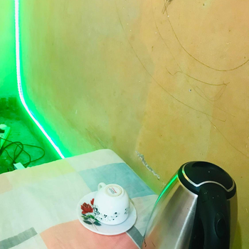 Sarath homestay - Hotel exterior or room view