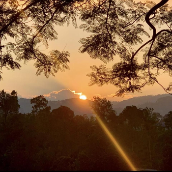 The1964 green paradise - Hotel exterior or room view