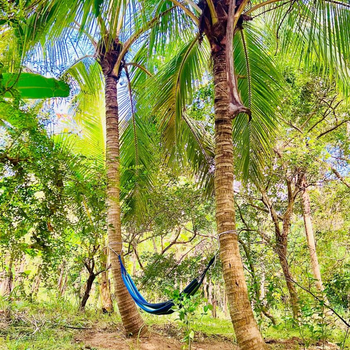 Hakuna Matata Hostel - Hotel exterior or room view