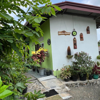 Shehan Home Stay - Hotel exterior or room view