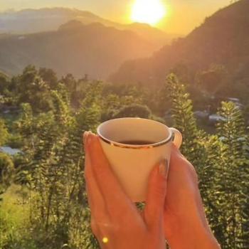 Lush In Ella - Hotel exterior or room view