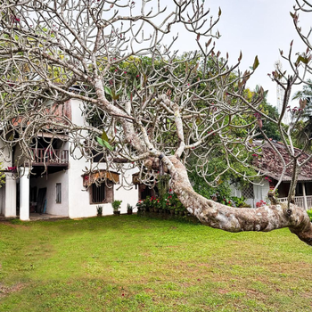 House of Merchants - Hotel exterior or room view