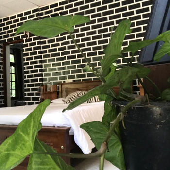Ella Rawana Resort - Hotel exterior or room view