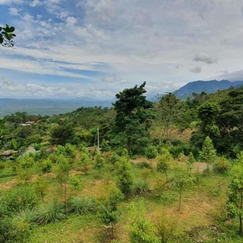 Garusinha Hotel - Hotel exterior or room view