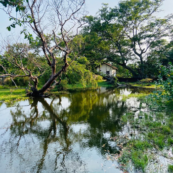 River Park Resort Arugambay - Hotel exterior or room view
