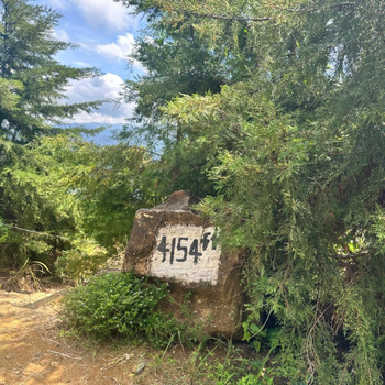 4154ft in ramboda - Hotel exterior or room view