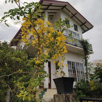 Summer Drop - Hotel exterior or room view