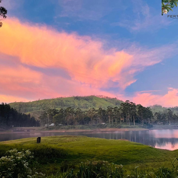 Fertile land resort adam's peak - Hotel exterior or room view