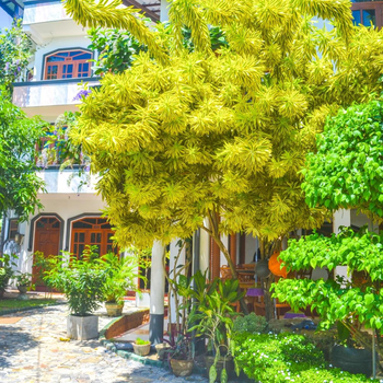 Castle Bay Resort - Hotel exterior or room view