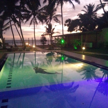 Hotel Ocean View Cottage - Hotel exterior or room view