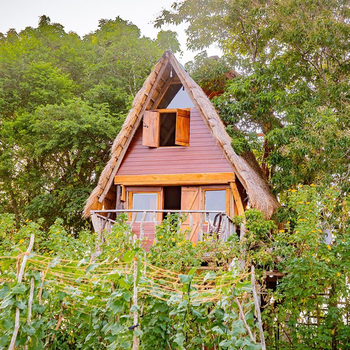 Wisdom Camping and Glamping - Hotel exterior or room view