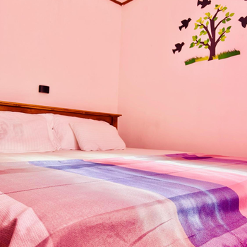 Windy Oasis - Hotel exterior or room view