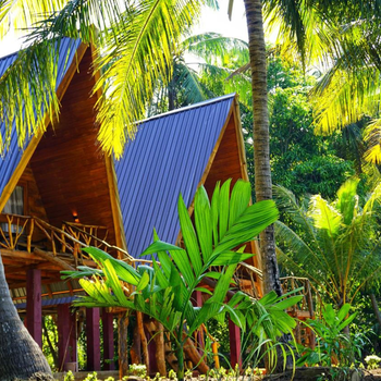 Paddy view cabana sigiriya - Hotel exterior or room view