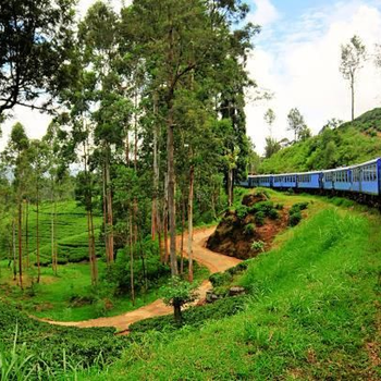 Beverly hills hotels & cafe Nuwara Elliya - Hotel exterior or room view