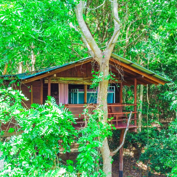 Jungle Host Hostel And Tree House - Hotel exterior or room view