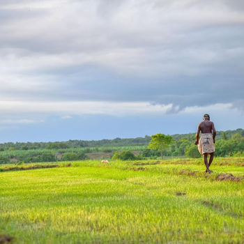 Wanni Villa Resort & Safari - Hotel exterior or room view