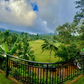 Rainforest Border Edge - Hotel exterior or room view