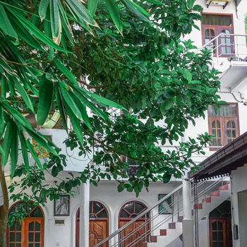 SAKURAHANA VILLA AND AYURVEDA - Hotel exterior or room view