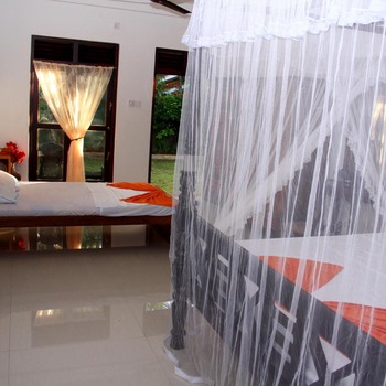 Lotus Villa - Hotel exterior or room view