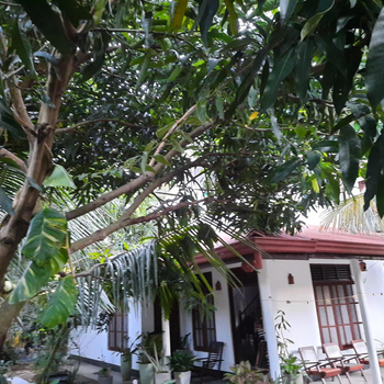 Eagle Homestay - Hotel exterior or room view