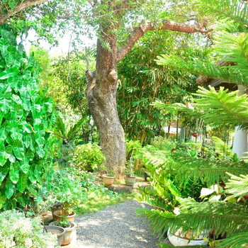 Livinginn Polonnaruwa - Hotel exterior or room view