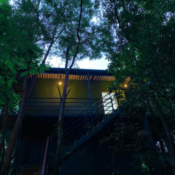 Green House Resort - Hotel exterior or room view