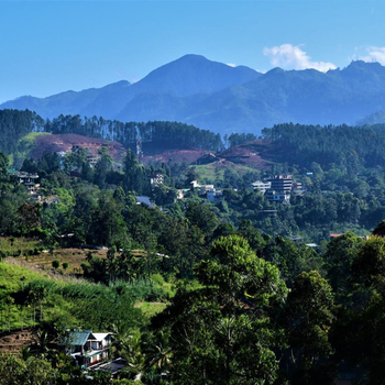 Rose Dale Homestay Ella - Hotel exterior or room view