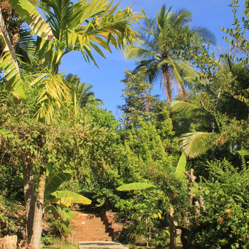 Serenity Sigiri Resort - Hotel exterior or room view