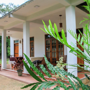 Sigiri Lion Villa - Hotel exterior or room view