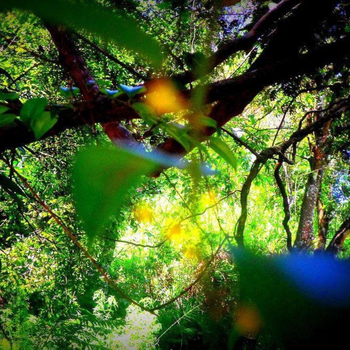 Samadhi Nature Resort - Hotel exterior or room view