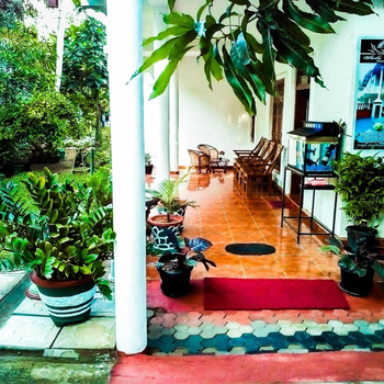 Sudu Neluma Home Stay - Hotel exterior or room view