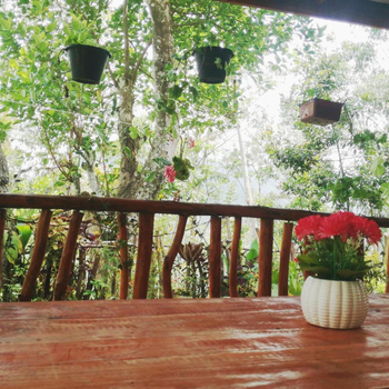 Deneth Homestay - Hotel exterior or room view
