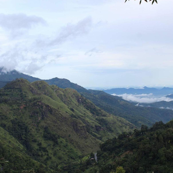 Amado Homestay Ella - Hotel exterior or room view