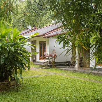 The Calm Cabana - Hotel exterior or room view