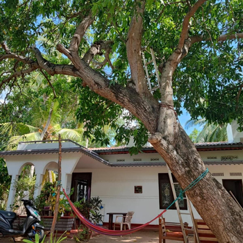 The White House - Hotel exterior or room view
